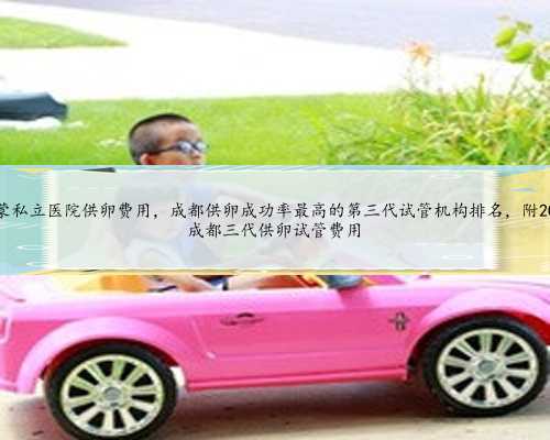 内蒙私立医院供卵费用,成都供卵成功率最高的第三代试管机构排名,附2024
成都三代供卵试管费用