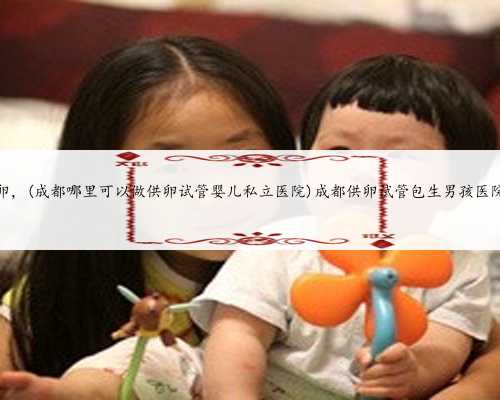 内蒙哪里可以排队供卵,(成都哪里可以做供卵试管婴儿私立医院)成都供卵试管包生男孩医院排名前三的有哪些?