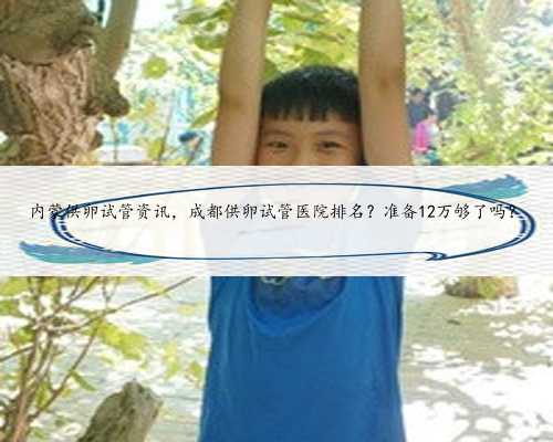 内蒙供卵试管资讯,成都供卵试管医院排名?准备12万够了吗?